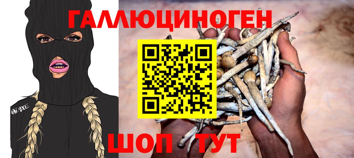 Десногорск  Галлюциногенные грибы Cubensis  Псилоцибиновые грибы Psilocybine cubensis  Вход с VPN 